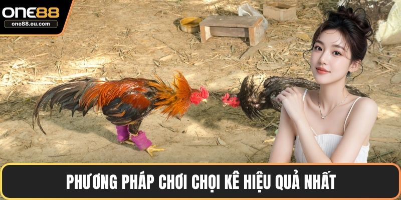 Đá Gà ONE88 – Sảnh Giải Trí Uy Tín, Hấp Dẫn & Minh Bạch 5 Phương pháp chơi chọi kê hiệu quả nhất
