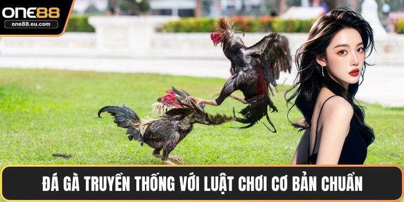 Đá Gà ONE88 – Sảnh Giải Trí Uy Tín, Hấp Dẫn & Minh Bạch 3 Đá gà truyền thống với luật chơi cơ bản chuẩn