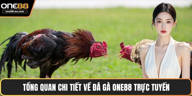 Đá Gà ONE88 – Sảnh Giải Trí Uy Tín, Hấp Dẫn & Minh Bạch 2 Tổng quan chi tiết về đá gà ONE88 trực tuyến